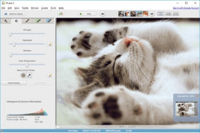Step-by-Step Guide How to Use Picasa